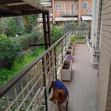 La Mattina - Fiera Di - Aeroporto Fiumicino